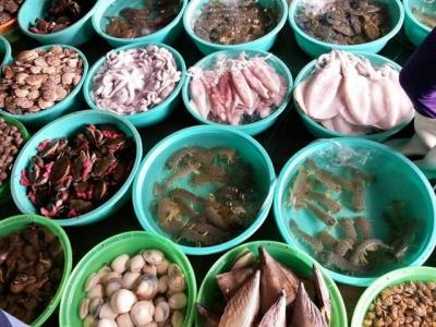 Địa chỉ cung cấp hải sản tươi sống chất lượng, giá sỉ tốt nhất tại TP.HCM