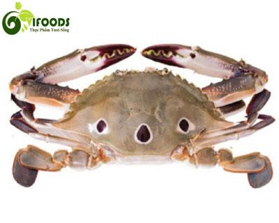 Ghẹ ba chấm đông lạnh ngon chắc thịt 6-7 con/kg