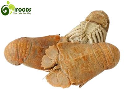 Tôm mũ ni trắng (tôm vỗ) tươi sống . 4-6 con/kg