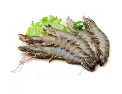 Tôm sú nguyên con tươi sống . 60-70 con/kg